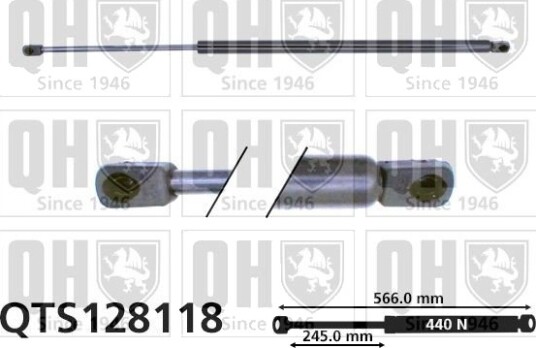 QUINTON HAZELL QTS128118 Baklukedemper