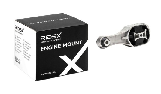 Motorfeste RIDEX 247E0896 Motorfeste RIDEX 247E0896
