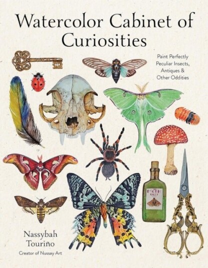 Watercolor Cabinet of Curiosities Watercolor Cabinet of Curiosities