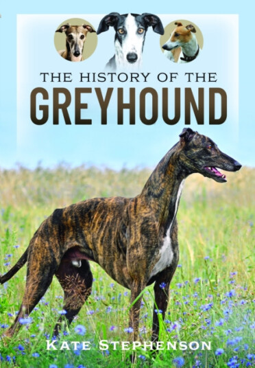 The History of the Greyhound