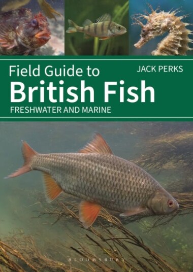 Field Guide to British Fish Freshwater and Marine Field Guide to British Fish Freshwater and Marine