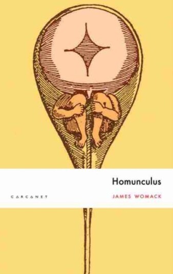 Homunculus Av James Womack