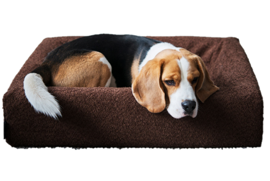 Biabed Premium Bouclé Cover for Hundeseng 70x85x15cm Brun