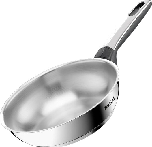 Tefal Emotion Plus SS Uncoated stekepanne 20 cm