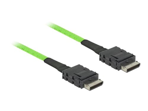 Delock - Sas Intern Kabel Delock - Sas Intern Kabel