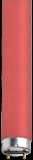 T8 lysrør rødt 36W G13 1200mm Unison