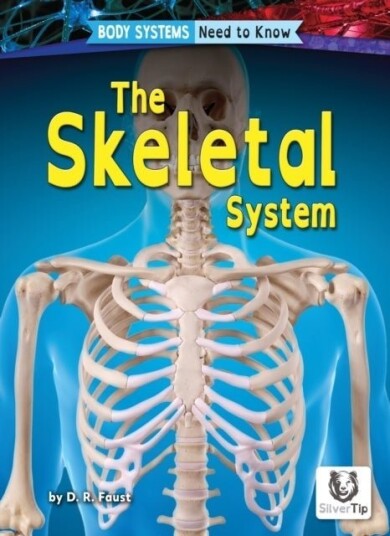 Skeletal System Skeletal System