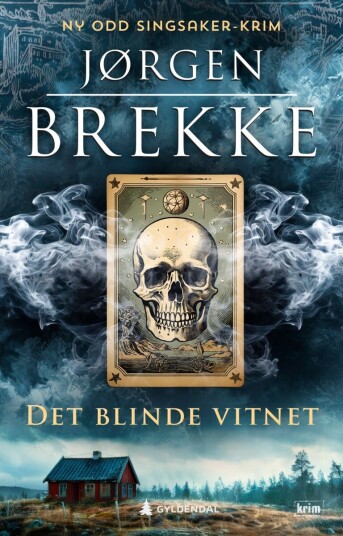 Det blinde vitnet Det blinde vitnet