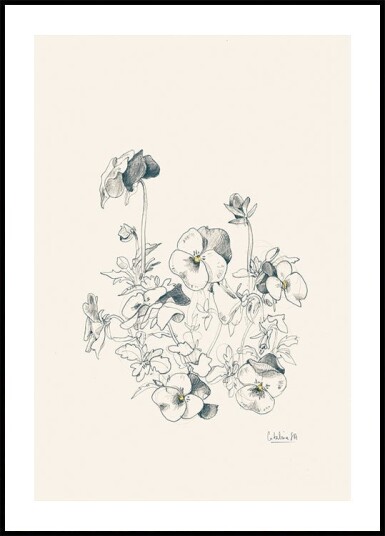 Pansies pencil drawing Plakat Plakat / 30x40cm Pansies pencil drawing Plakat Plakat / 30x40cm