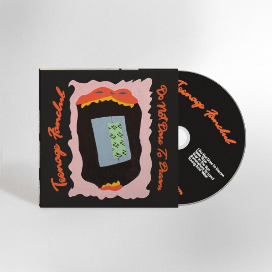 Teenage Fanclub Do Not Dare To Dream CD
