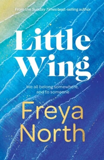 Little Wing Av Freya North Little Wing Av Freya North