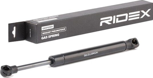 RIDEX 219G0924 Baklukedemper
