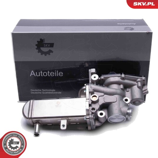 EGR Ventil ESEN SKV 14SKV241