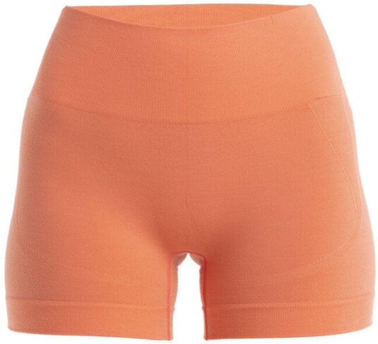 Icebreaker ZoneKnit Seamless Shorts W'stang M Icebreaker ZoneKnit Seamless Shorts W'stang M
