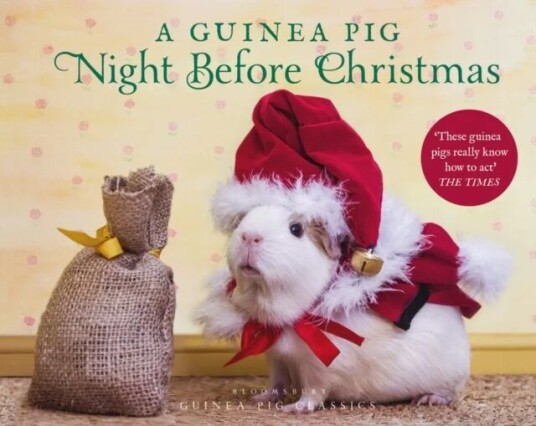 A Guinea Pig Night Before Christmas Av Clement Clarke Moore, Tess Newall