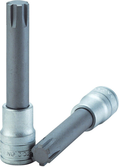 Topbits ribe 05 m122705-c