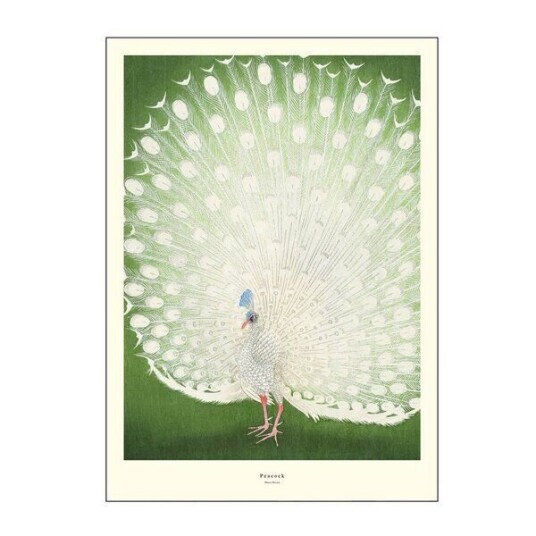 Poster & Frame - A.P. Atelier poster 50x70 cm peacock Poster & Frame - A.P. Atelier poster 50x70 cm peacock