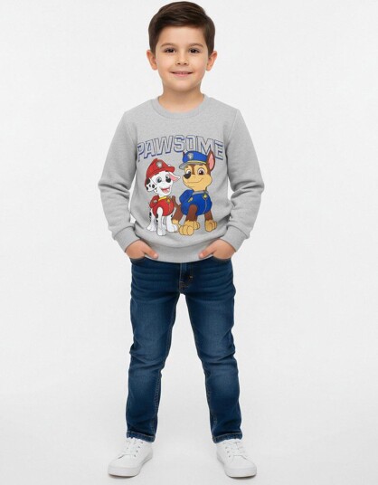 Paw Patrol Genser, Grå, 3 år