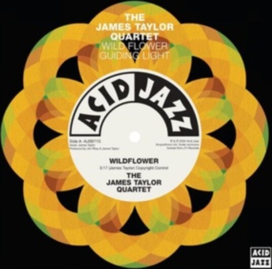 Notilus Wildflower Guiding Light Uk Vinyl