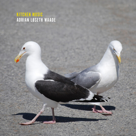 Adrian Loseth Waade Kitchen Music Vinyl