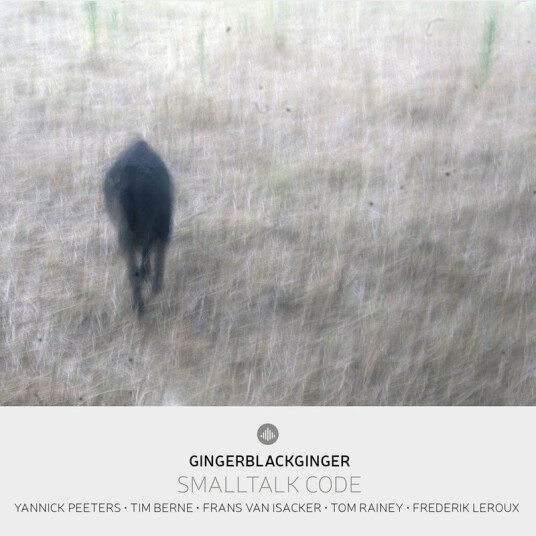 Yannick Peeters Smalltalk Code CD