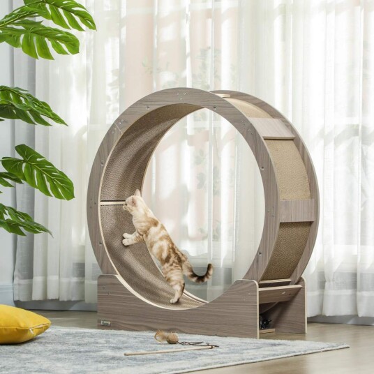 Cat Balance sykkel for katter 91 cm med brems skrapebrett kattehjul for sunn trening avslapning valnøtt