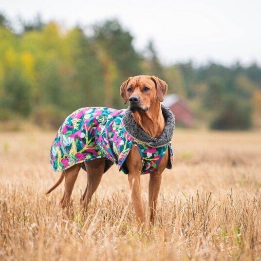 Pomppa Toppa Hundedekken Til Sele Trail (28)