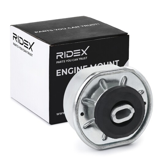 Motorfeste RIDEX 247E0310