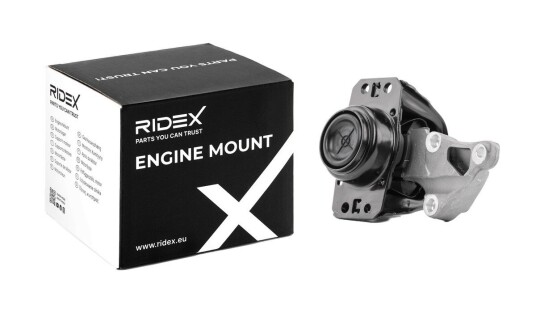 Motorfeste RIDEX 247E0222