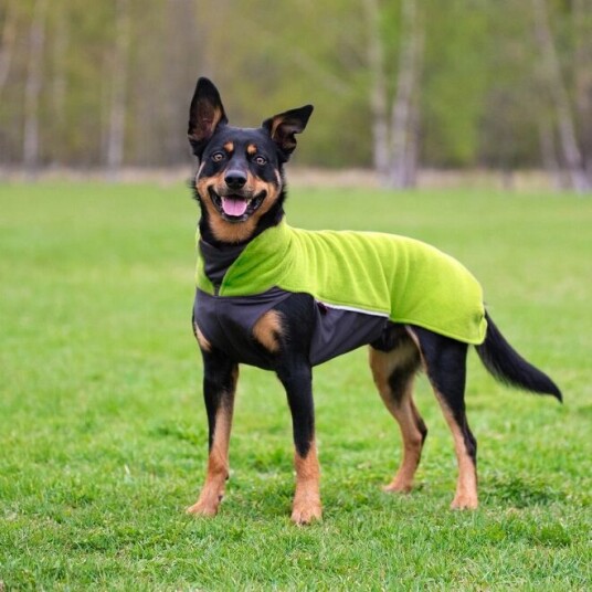 Pomppa Jumppa Fleecetrøye Hund Grøn (80 cm)