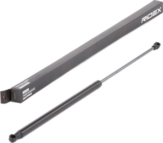 RIDEX 219G0880 Baklukedemper