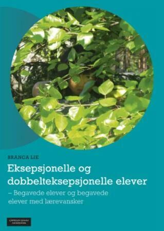 Eksepsjonelle Og Dobbelteksepsjonelle Elever Av Branca Lie