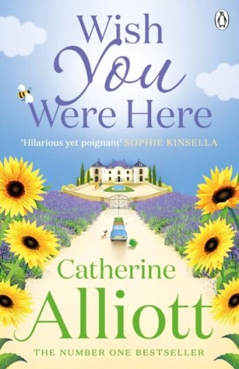 Wish You Were Here Av Catherine Alliott