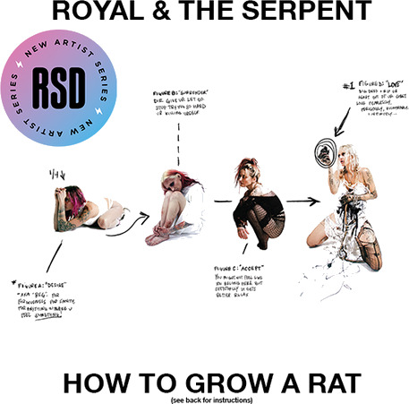 How To Grow A Rat
