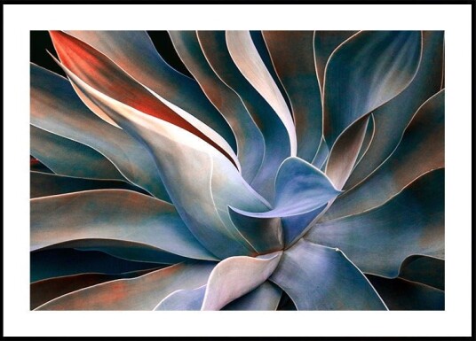 The colors in leaves Poster Plakat / 50x70cm