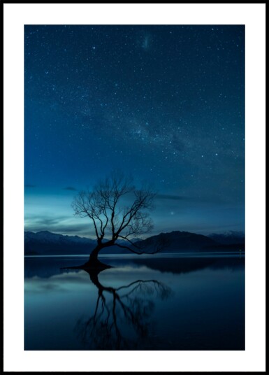 Lone Tree Starry Night Plakat / 100x150