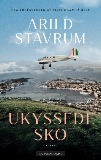 Ukyssede sko