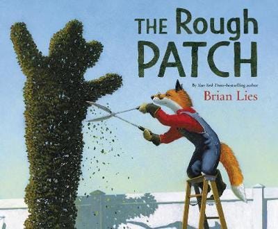The Rough Patch Av Brian Lies