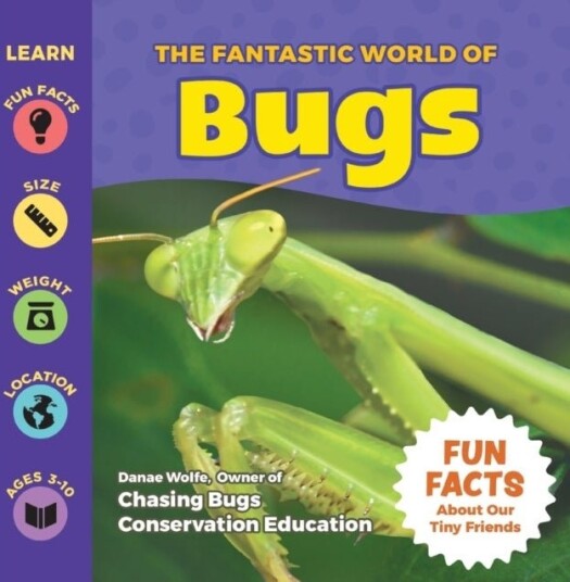 The Fantastic World of Bugs