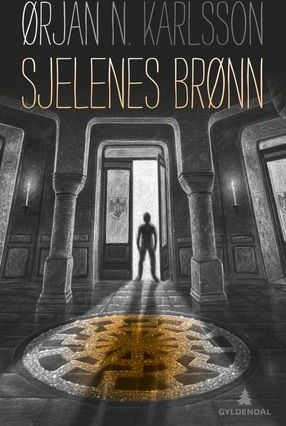 Sjelenes brønn, Veldig pen bok / som ny