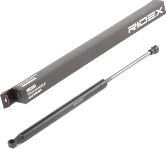 RIDEX 219G0038 Baklukedemper