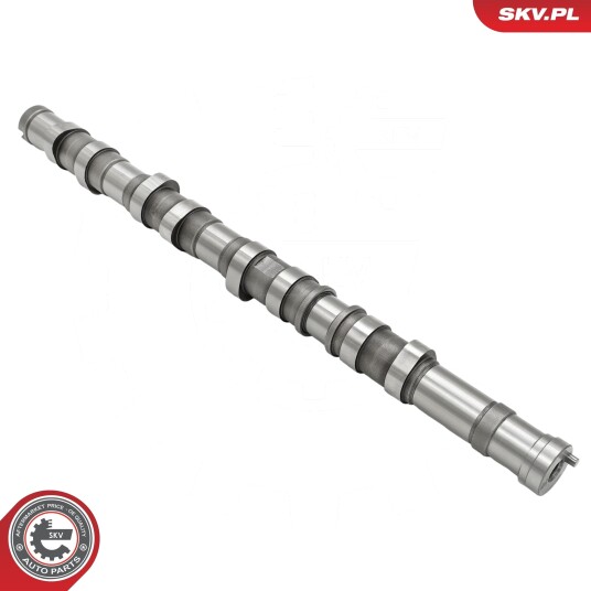 ESEN SKV 80SKV025 Kamaksel