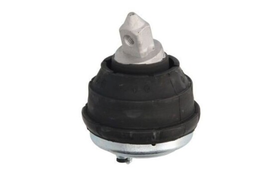 Motorfeste REINHOCH RH11-3017 Motorfeste REINHOCH RH11-3017