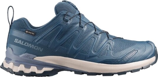 Salomon XA PRO 3D V9 GTX Herre Spellbound/Grisaille 47 1/3