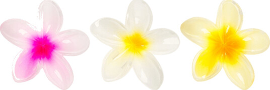 Brushworks Tropical Flower Claw Clips 3pcs