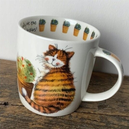 Giftworld Krus M05 Kot Whiskers
