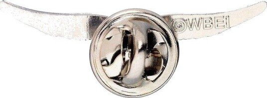 Harry Potter Golden Snitch Pin