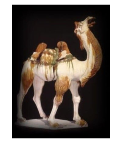 Silk Roads