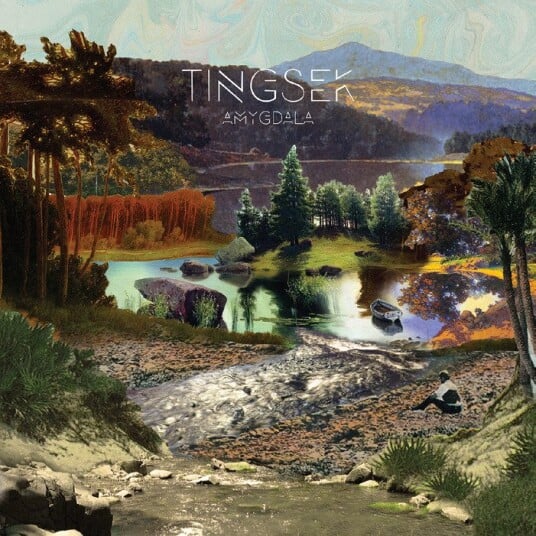 Tingsek Amygdala Vinyl