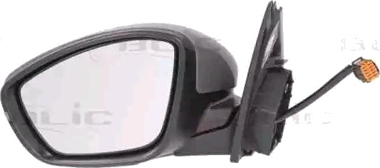 Sidespeil BLIC 5402 08 2002077P